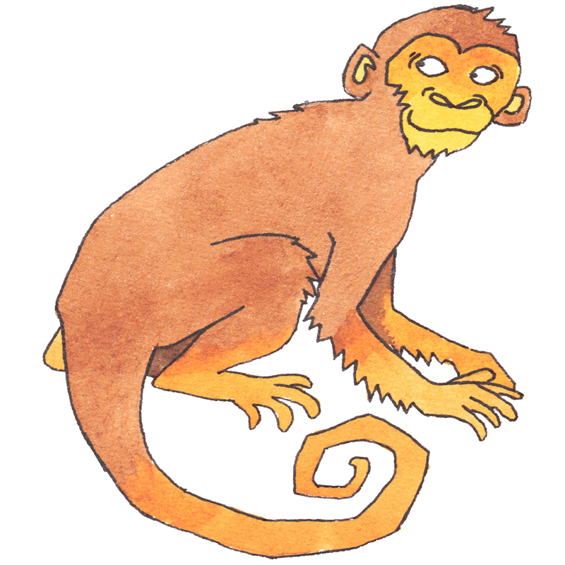 Kinesisk astrologi | Animal sign Monkey